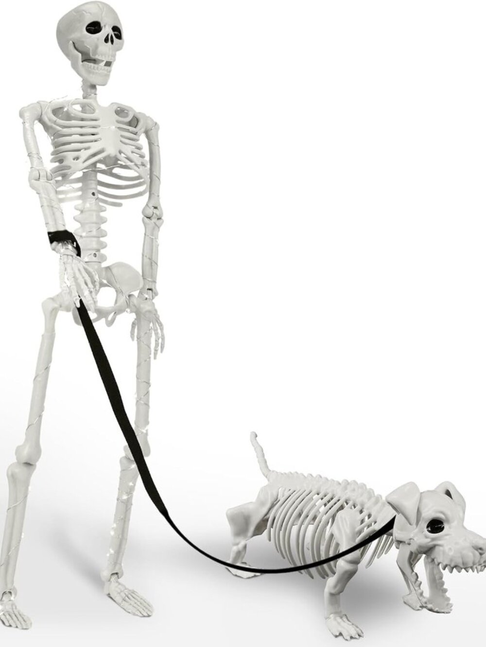 3FT Lighted Human Skeleton w Skeleton Dog Halloween Decor Posable Indoor Outdoor